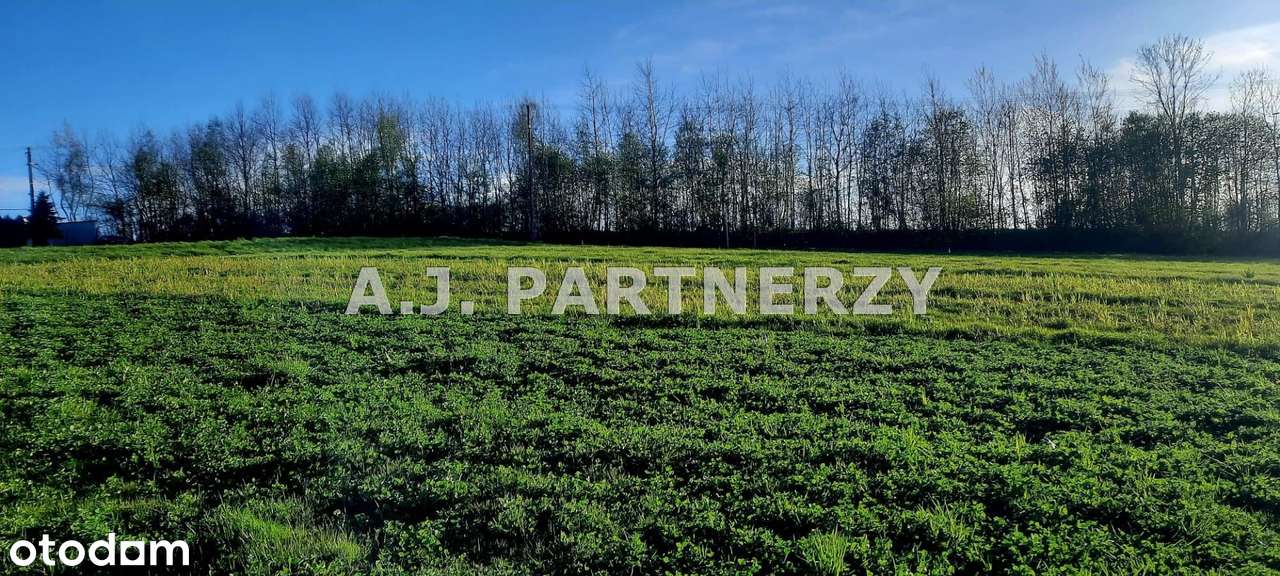 Działka w zielonej okolicy-4