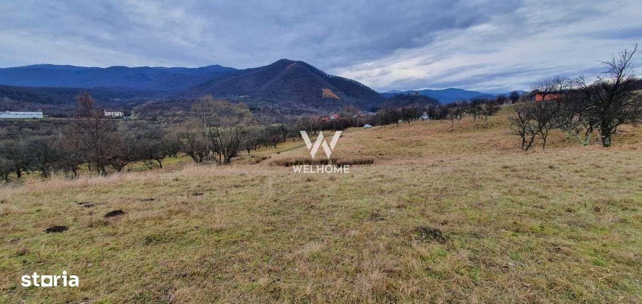 Rădăcini noi, visuri vechi- Teren de vanzare in Cisnadioara, Sibiu - Imagine principală: 5/9