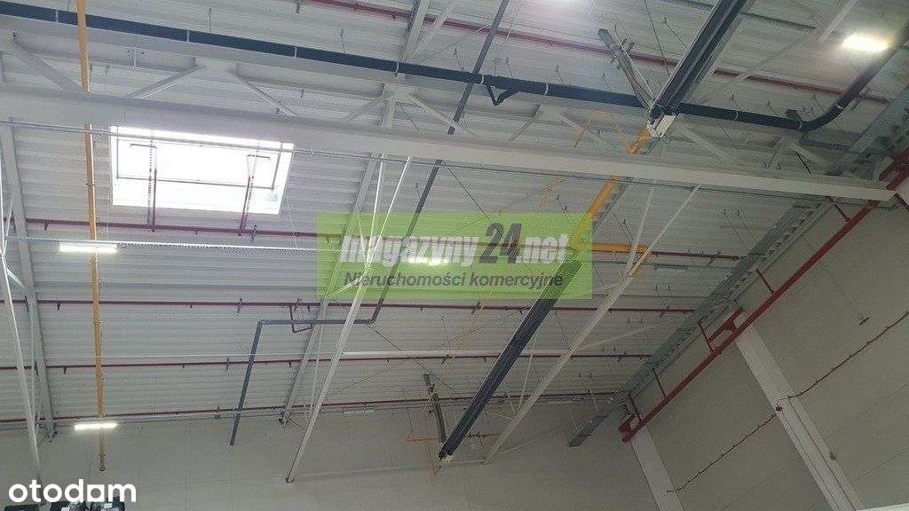 Hala magaz/prod 2164m2 Marki k. Warszawy -podnajem - Pełny obrazek: 5/14