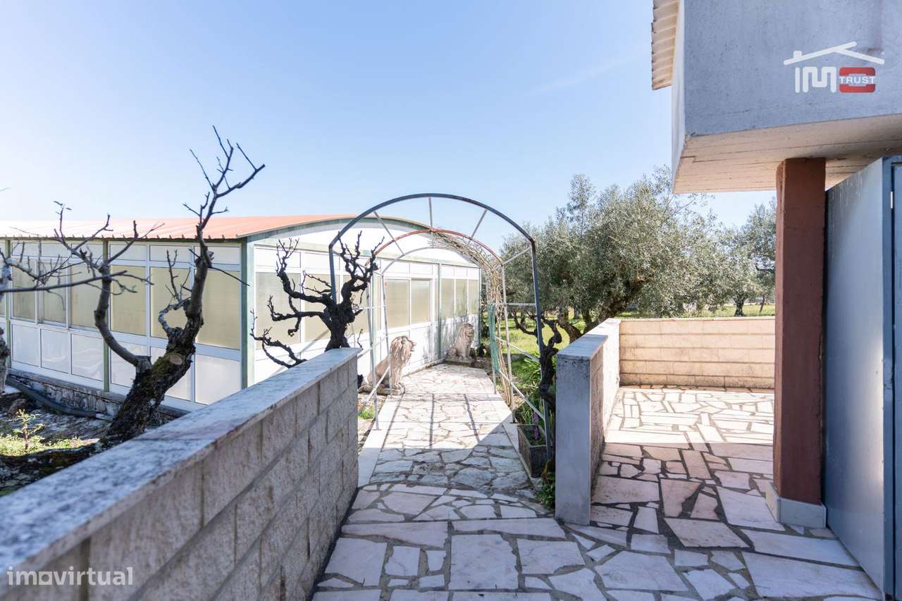 Fantástica Moradia T5 com piscina com 1ha de terreno em Pedreira, F...-29