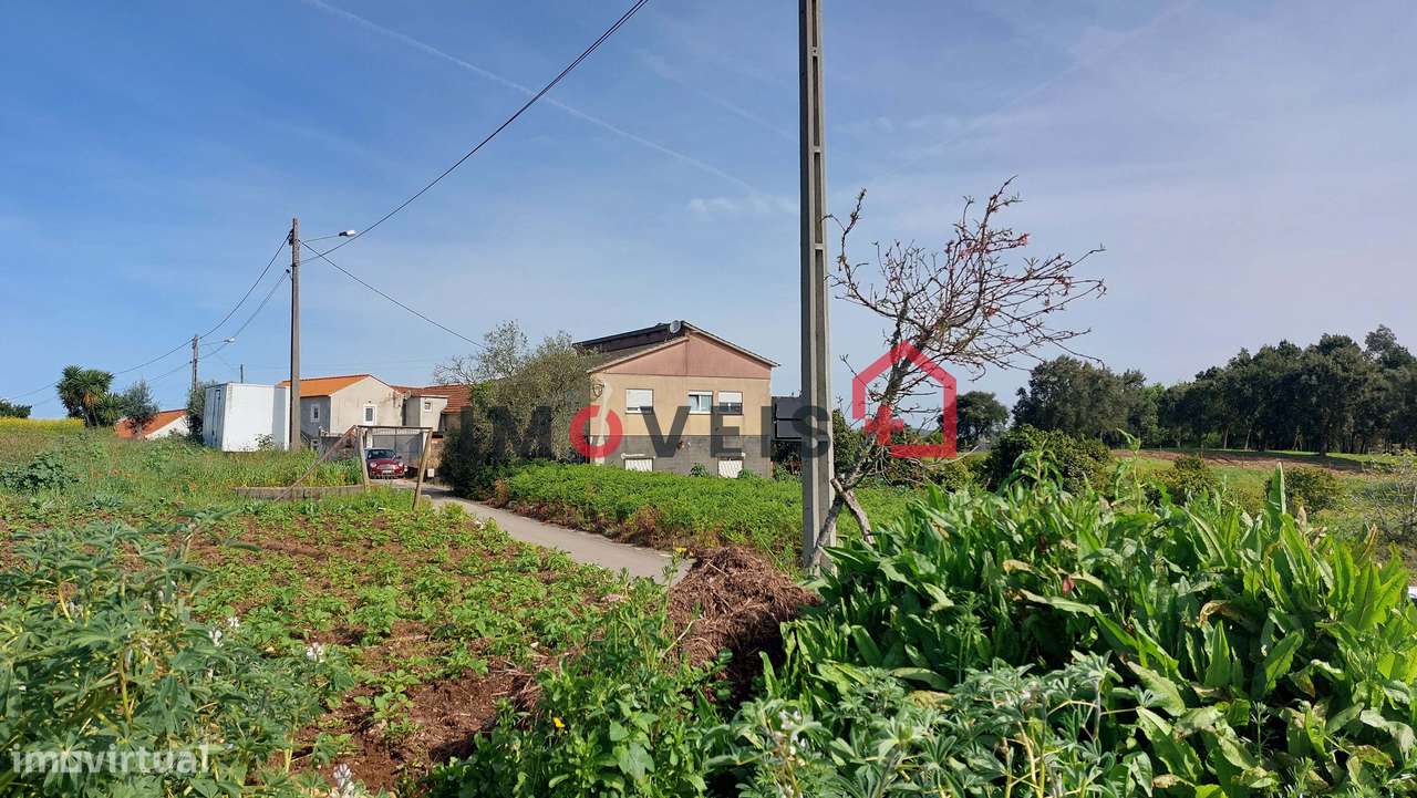 Terreno entre Ourém e Fátima - Grande imagem: 5/7