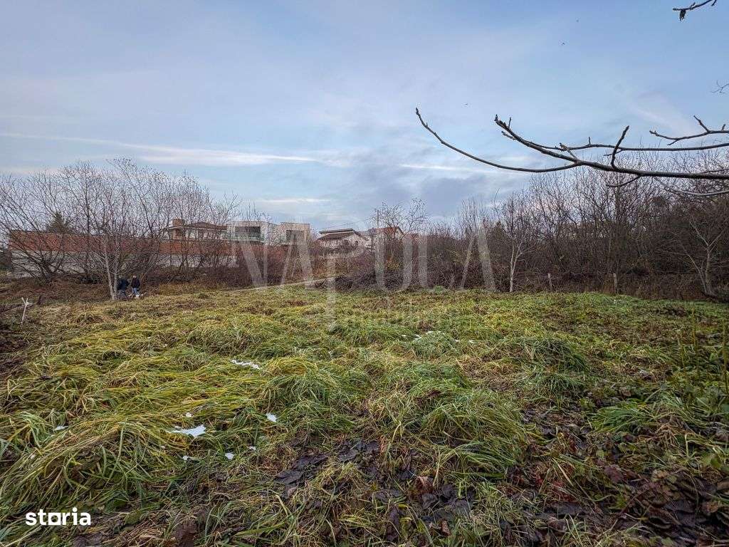 Teren intravilan pentru constructii de vanzare in Buna Ziua, Cluj - Imagine principală: 5/5