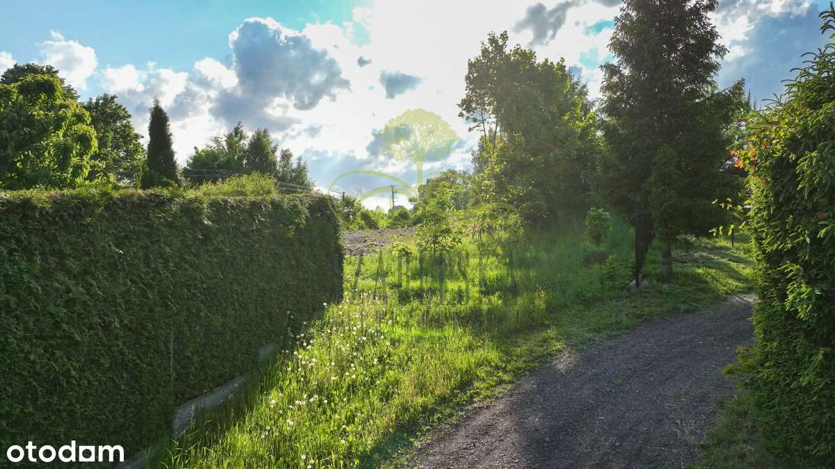 Pod działalność usługową lub dom z usługami !!!-3