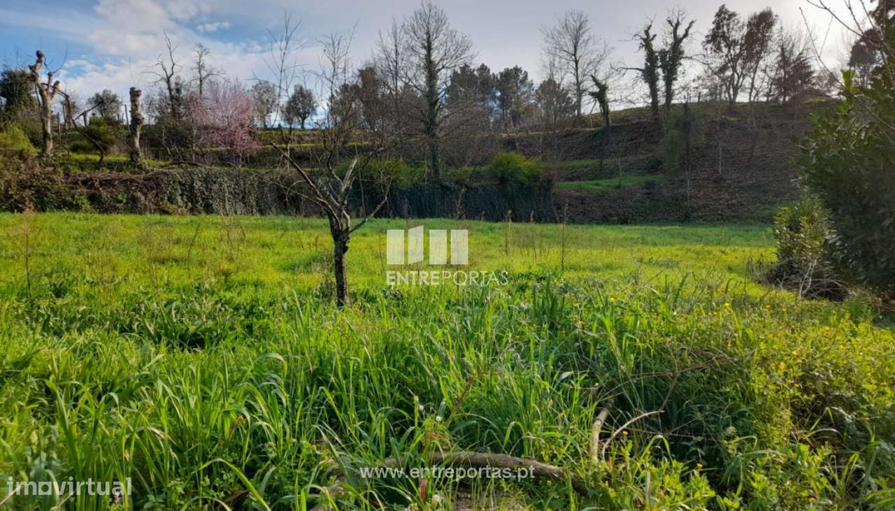 Venda Terreno, Gatão, Amarante - Grande imagem: 4/30