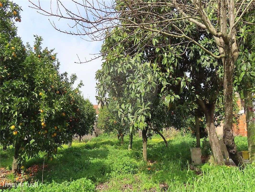 Moradia T2 para venda-31