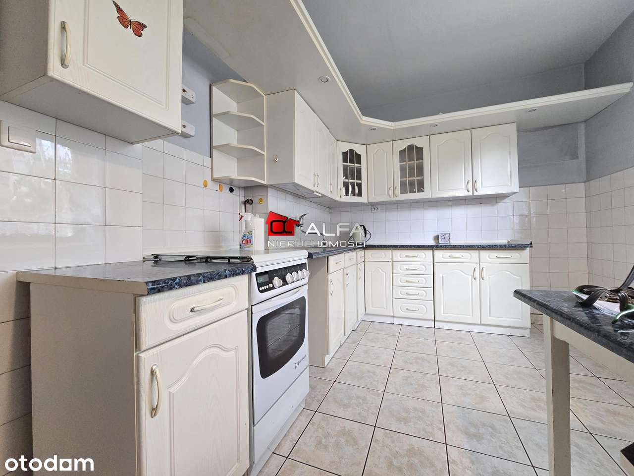 Przestronny dom wolnostojący w okolicach Centrum-2