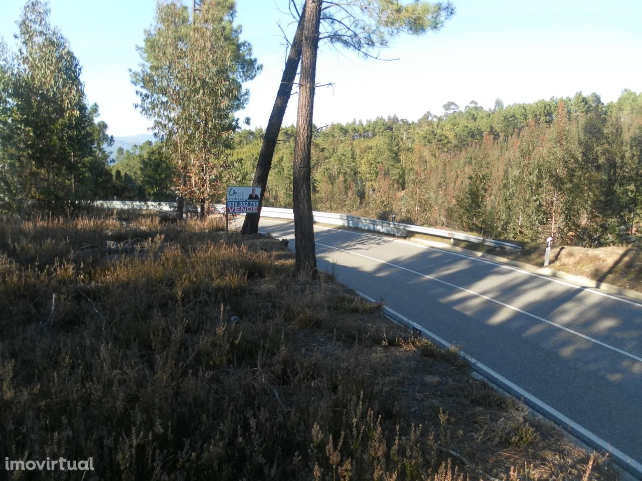 Terreno - Retaxo, Estreito-Vilar Barroco