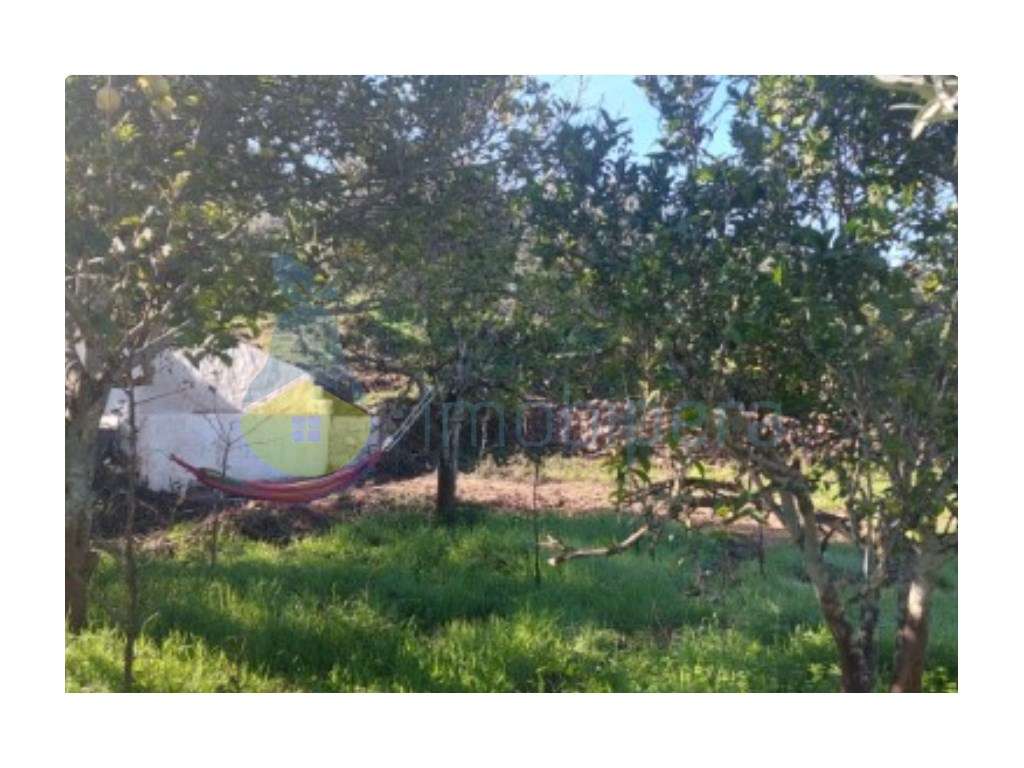 Terreno Rústico | Armazém com 72m2 Registrado | Luz | Furo - Grande imagem: 4/13