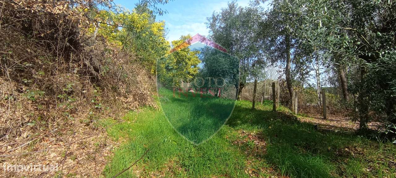 Quinta  Venda em Silgueiros,Viseu-17