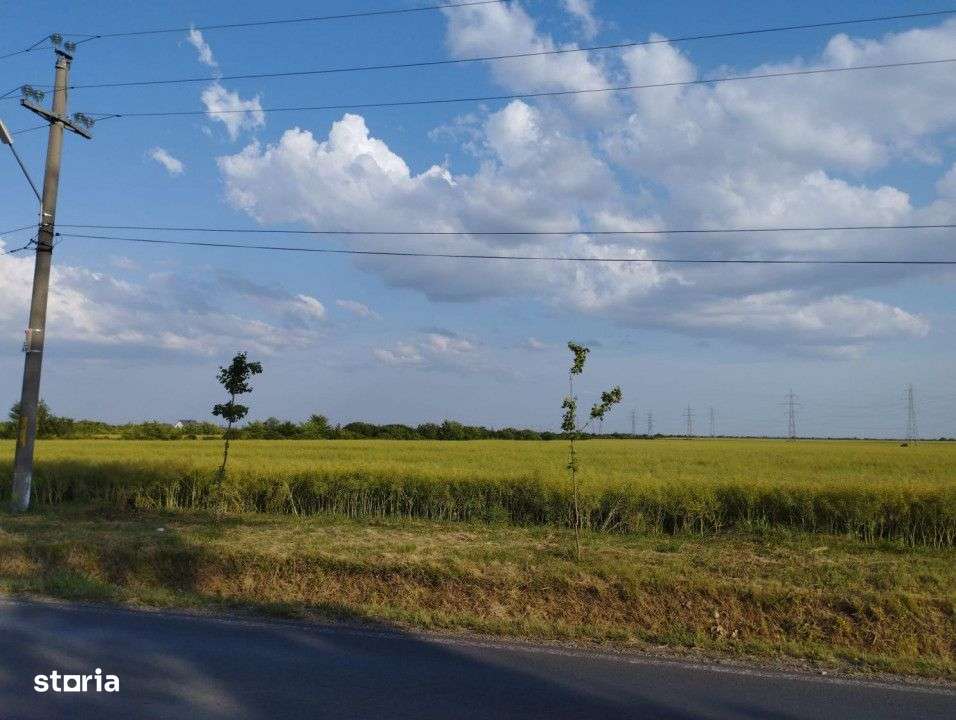 SE VINDE TEREN 5000 MP INTRAVILAN, MIXT CU DESCHIDERE LA DJ101 DE 42m - Imagine principală: 4/4