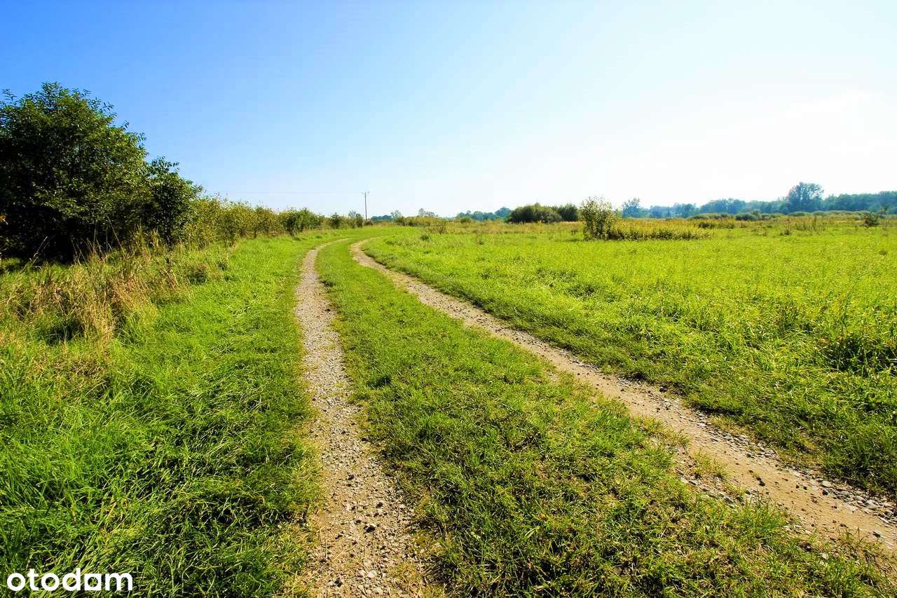 Dębina działki budowlane MPZP regularne kształty PROMOCJA CENOWA !!! - Pełny obrazek: 4/5