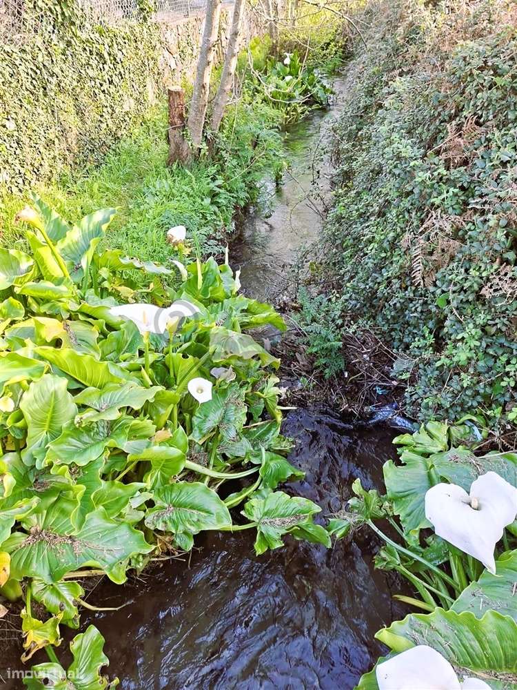 Terreno para construção ,1620m² em Covas: PIP Aprovado e Vista Serra d - Grande imagem: 2/12