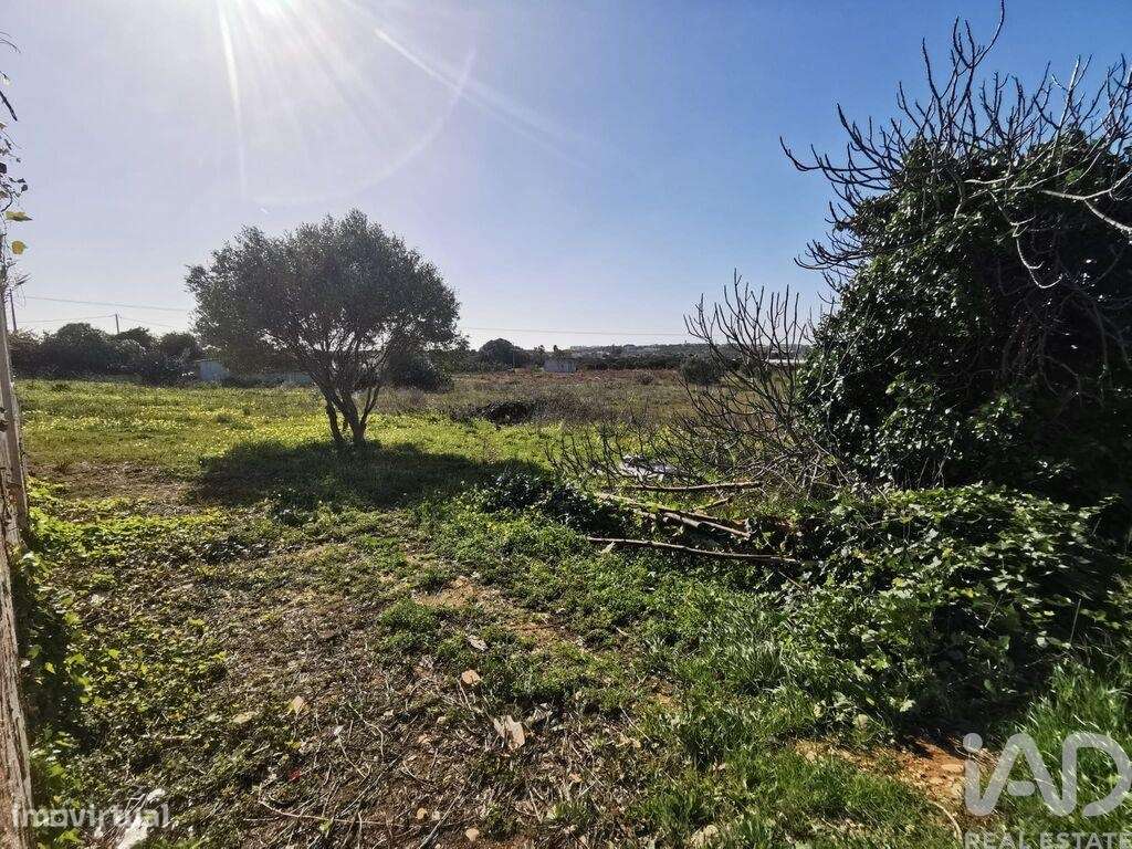 Terreno T1 em Faro (Sé e São Pedro) de 64,00 m2 - Grande imagem: 5/8