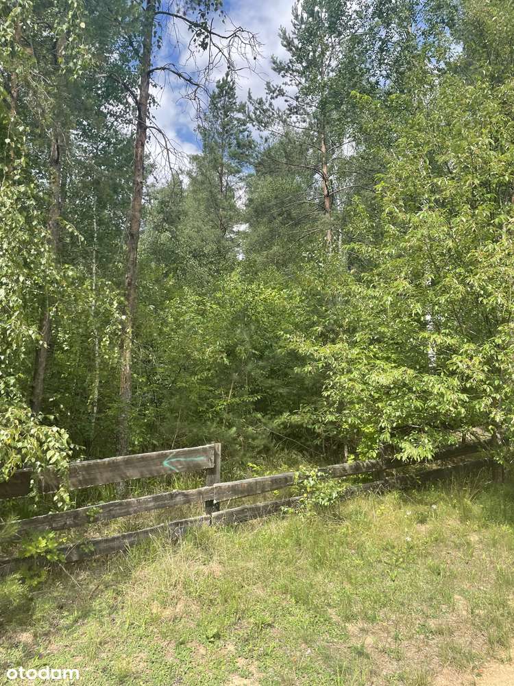 OSTATNIE DZIAŁKI PRZY KOŃCU ULICY, PROSTO PRZY LESIE! Bez pośredników - Pełny obrazek: 4/6
