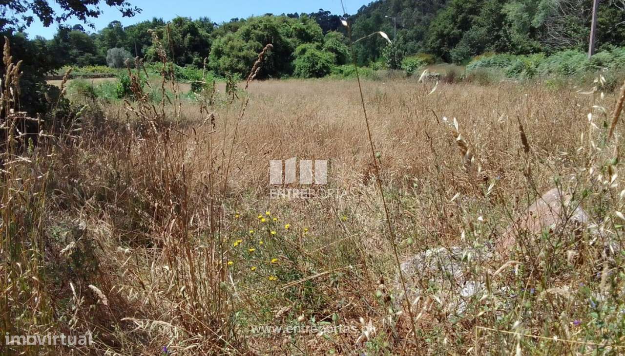 Venda de Terreno de construção, Vilar Mouros, Caminha - Grande imagem: 3/30