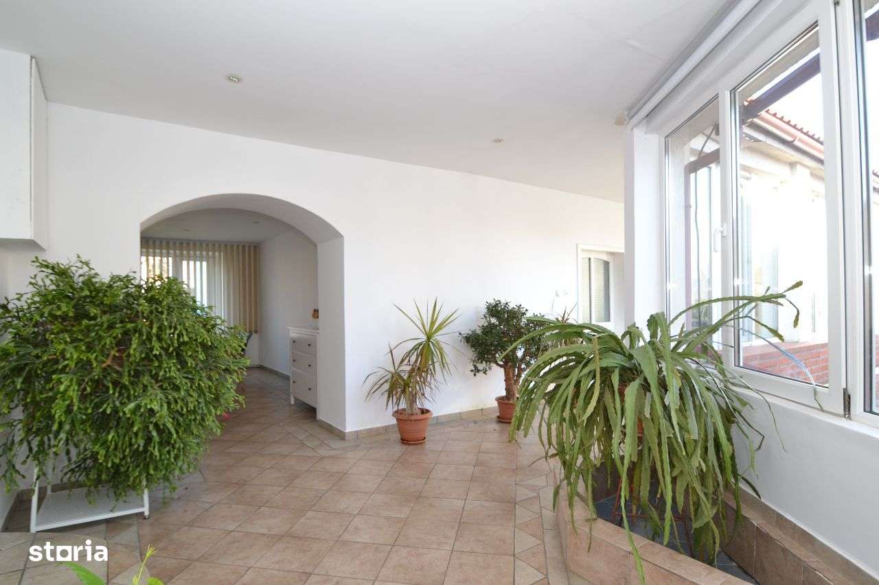 Casa cu teren de 5165 mp in Becicherecu Mic, la artera principala-6