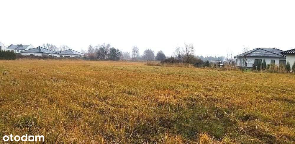 Tarnowo Podgórne - obniżka ceny !!1-5