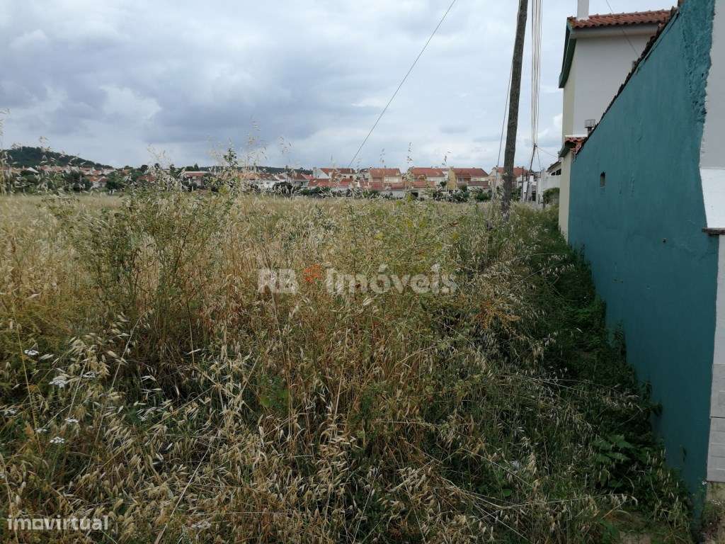 Lote Terreno - Grande imagem: 3/10