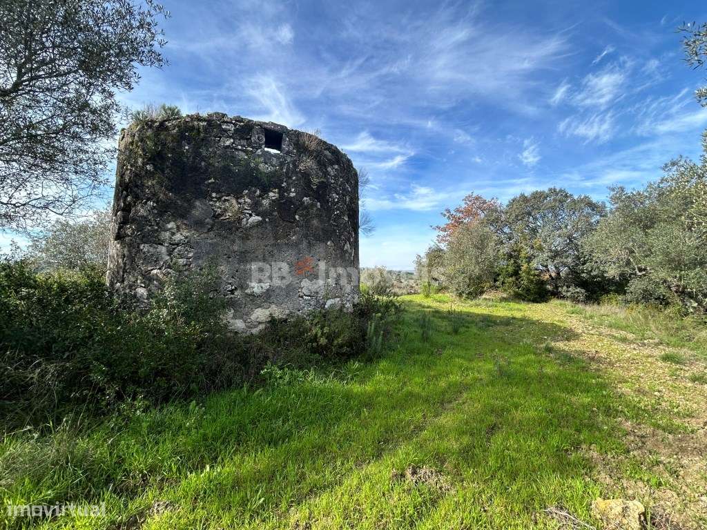 Terreno c/ PDM urbano e Moinho para recuperar - Pimenteiras, Torres... - Grande imagem: 5/31
