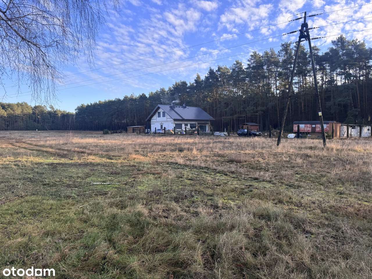 Działka w spokojnej okolicy lasu - Pełny obrazek: 4/5