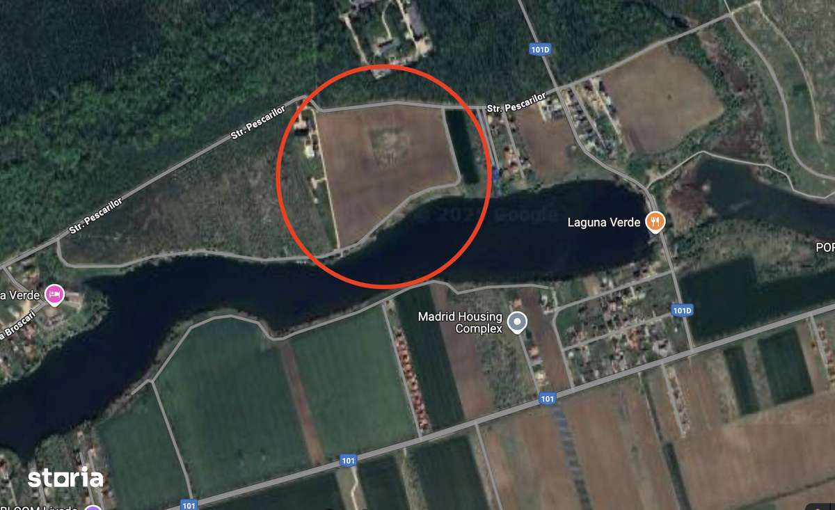 Teren  cu acces direct la lac, între pădure și apă – Moara Vlăsiei-3