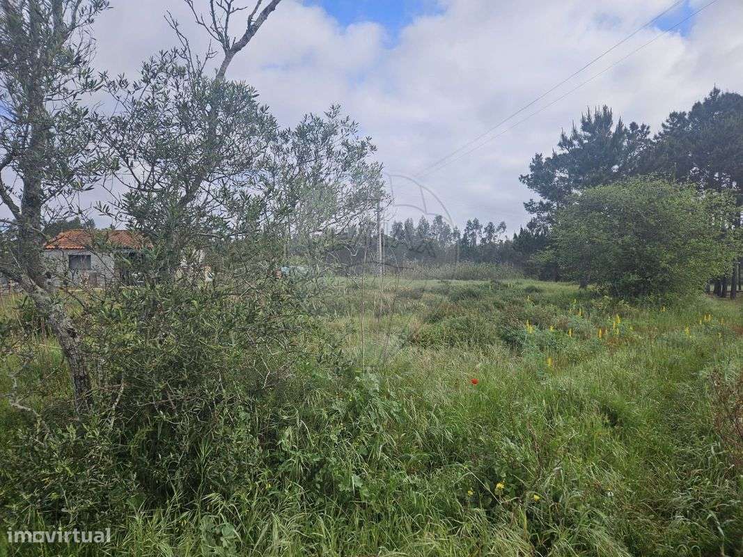 Terreno  para venda - Grande imagem: 4/6