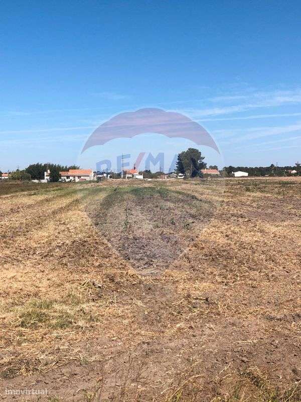 Terreno  para venda - Grande imagem: 3/3