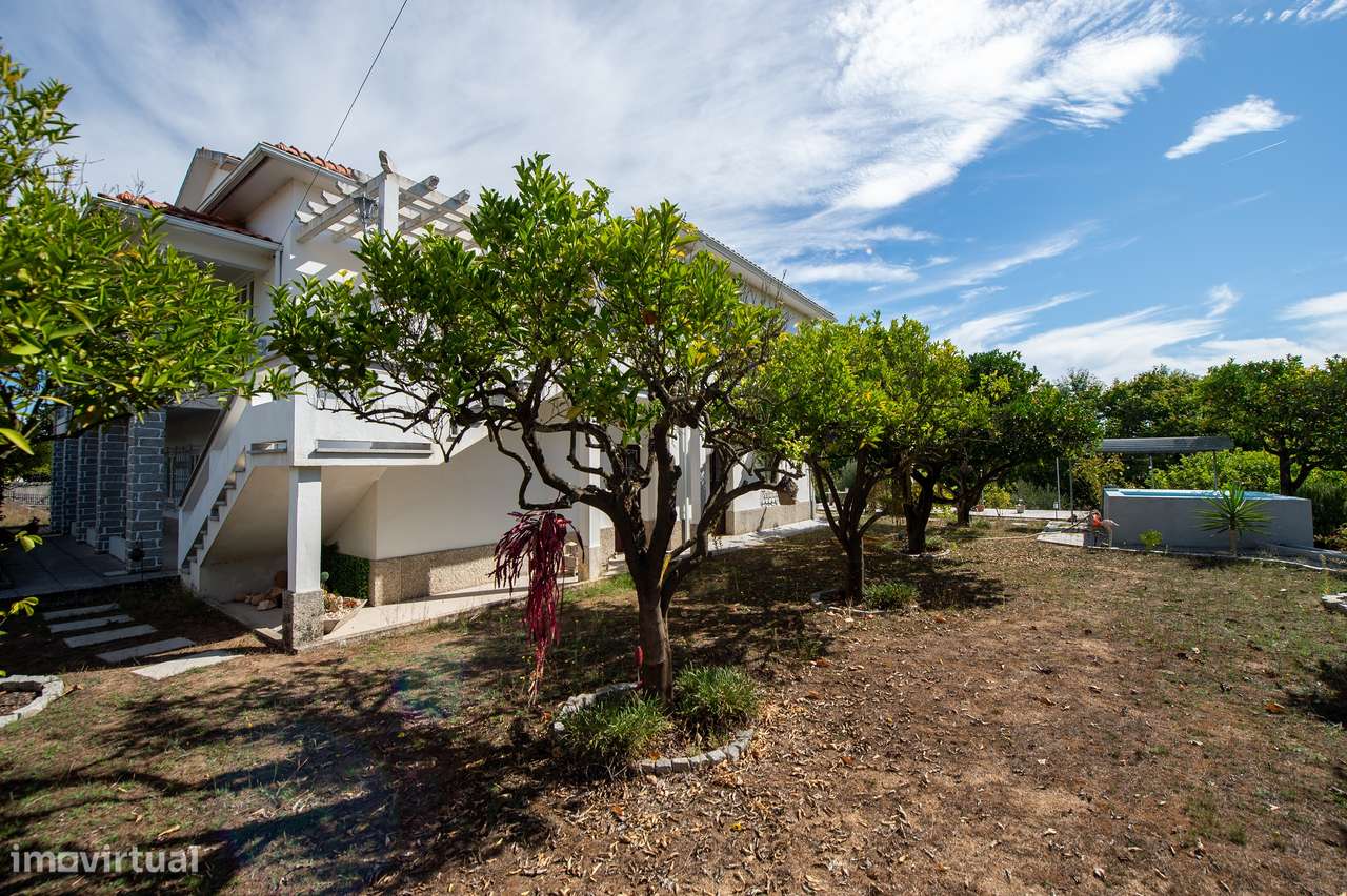 Quinta T6, Viseu, Santa Comba Dão, Santa Comba Dão e Couto do Mosteiro-31