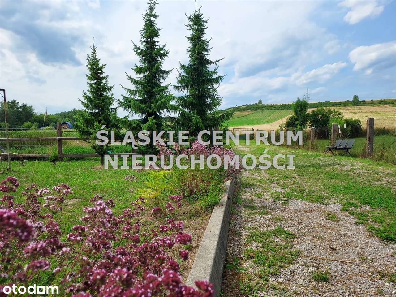 Budynek z dużą działką budowlaną Będzin Grodziec - Pełny obrazek: 5/14