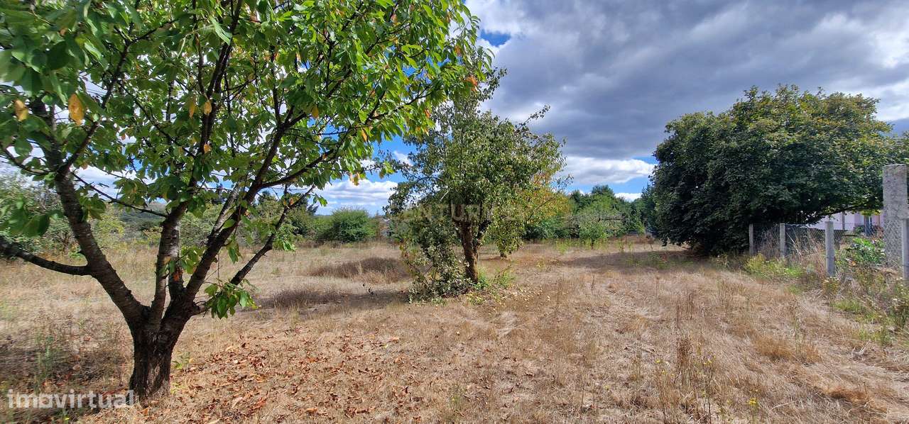 Terreno  – Couto de Baixo, Viseu - Grande imagem: 4/7