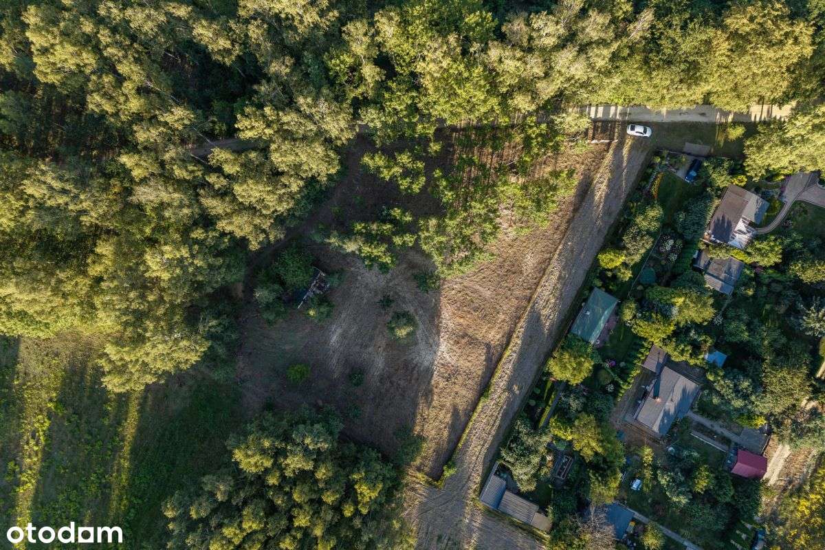 Cisza I Spokój , Tego Chcesz - Pełny obrazek: 5/10