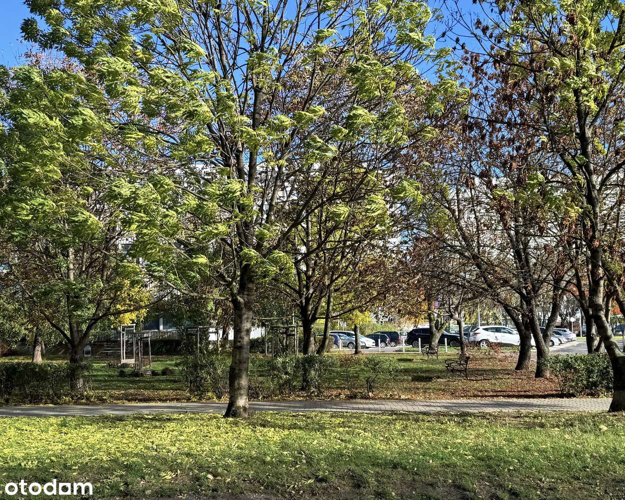 REZERWACJA | 4 pokoje | parter | balkon | po generalnym remoncie - Pełny obrazek: 4/6