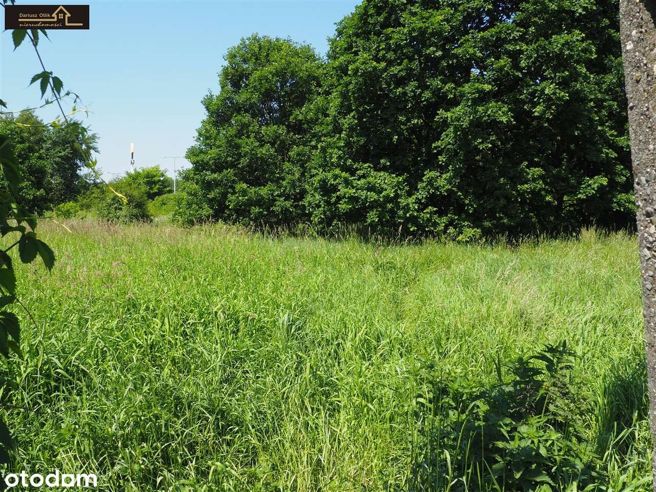 Działka budowlana, uzbrojona - Pełny obrazek: 5/5