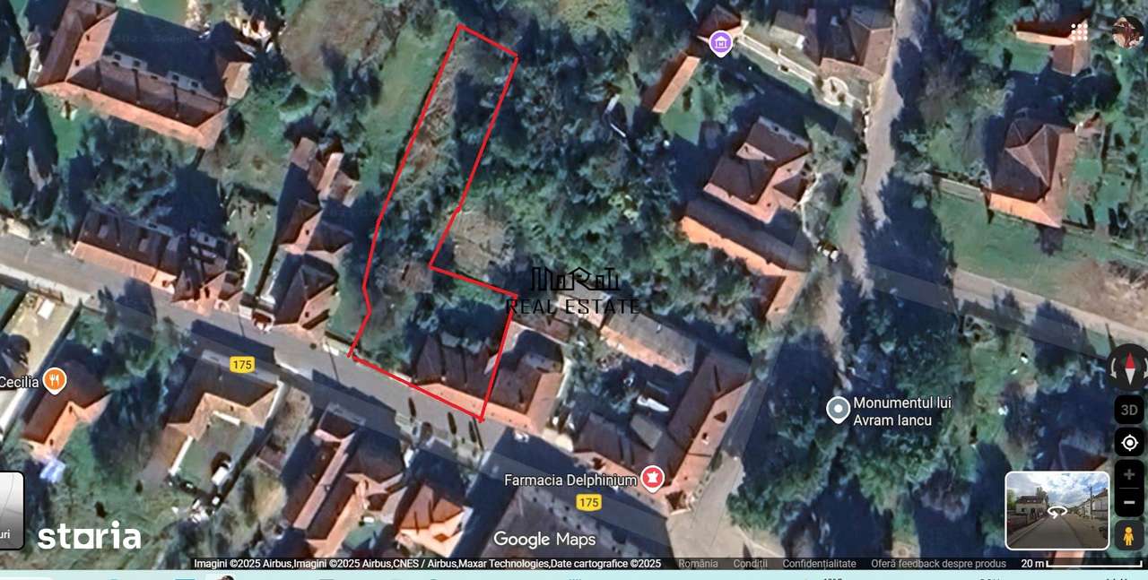 Casa cu aer nobil in Baia de Cris-18