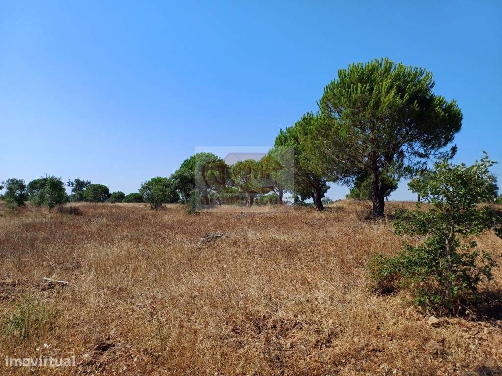 Monte Alentejano com várias ruínas para recuperar - 20 minutos Lago...-11