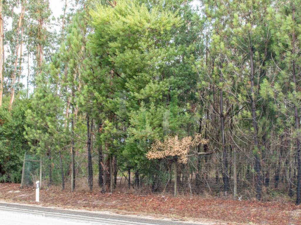 Terreno Venda Figueira da Foz - Grande imagem: 5/23