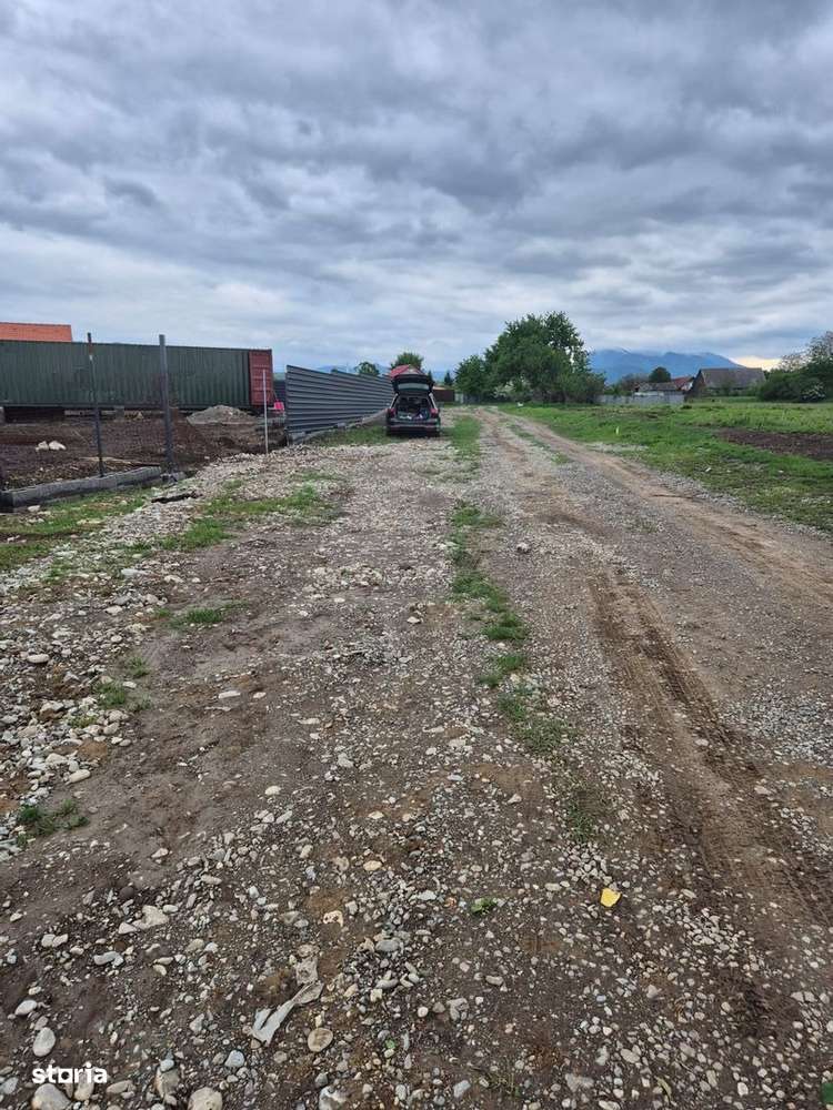 Teren 1450m- Carpinis/Tarlungeni, intravilan - Imagine principală: 3/15