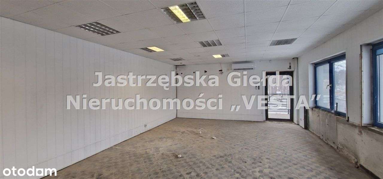 Atrakcyjne lokale do wynajęcia-Jastrzębie/Bzie - Pełny obrazek: 3/13