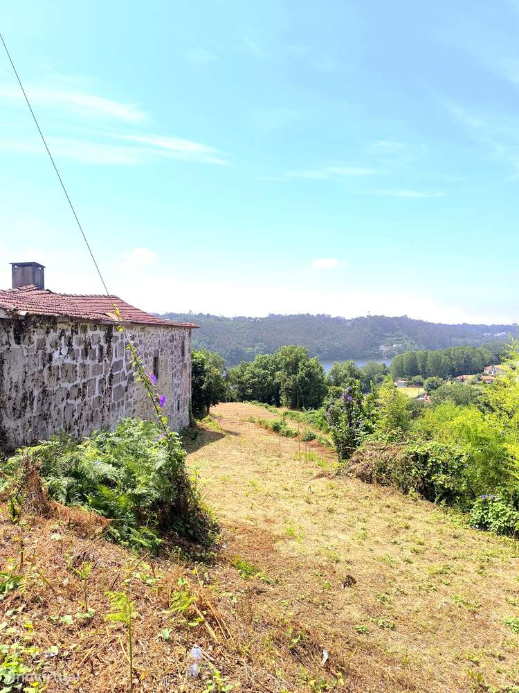 Quinta com 19000 m2 nas margens do Douro-10