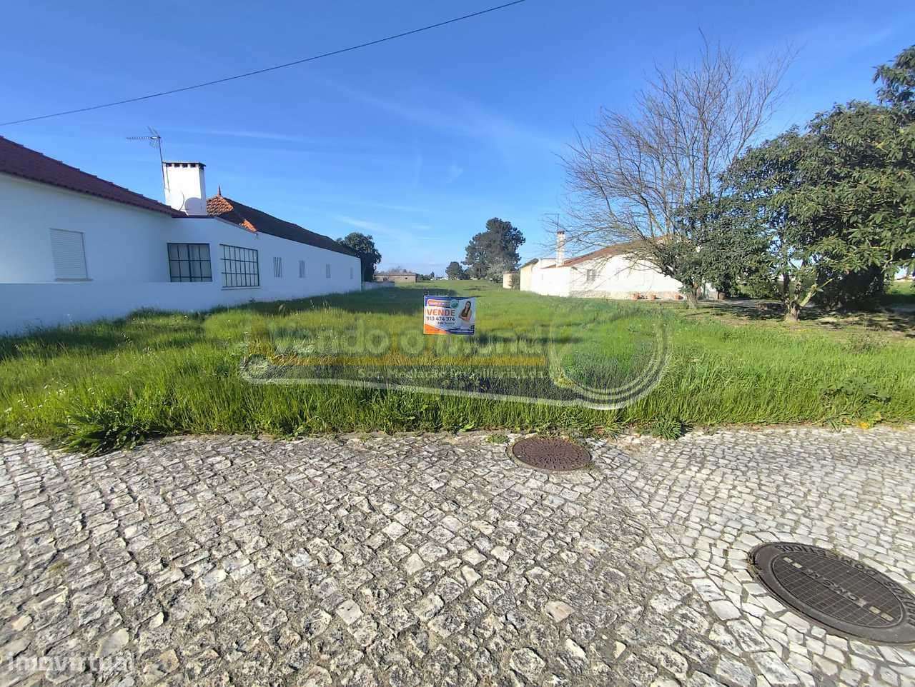 Terreno em Marinhais (M808) - Grande imagem: 4/5