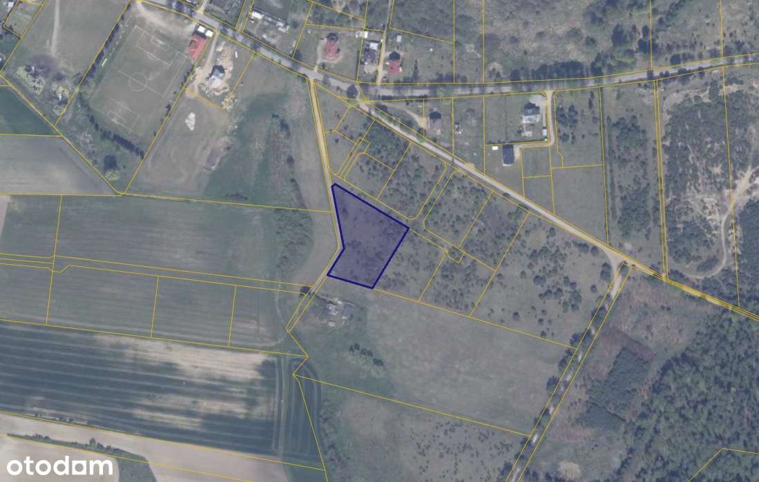 Działka 194/9 w miejscowości Ełganowo-1