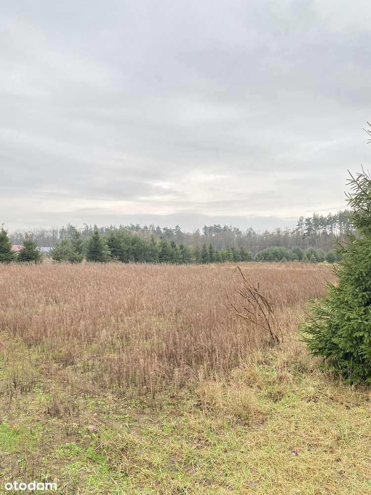 Działki na sprzedaż