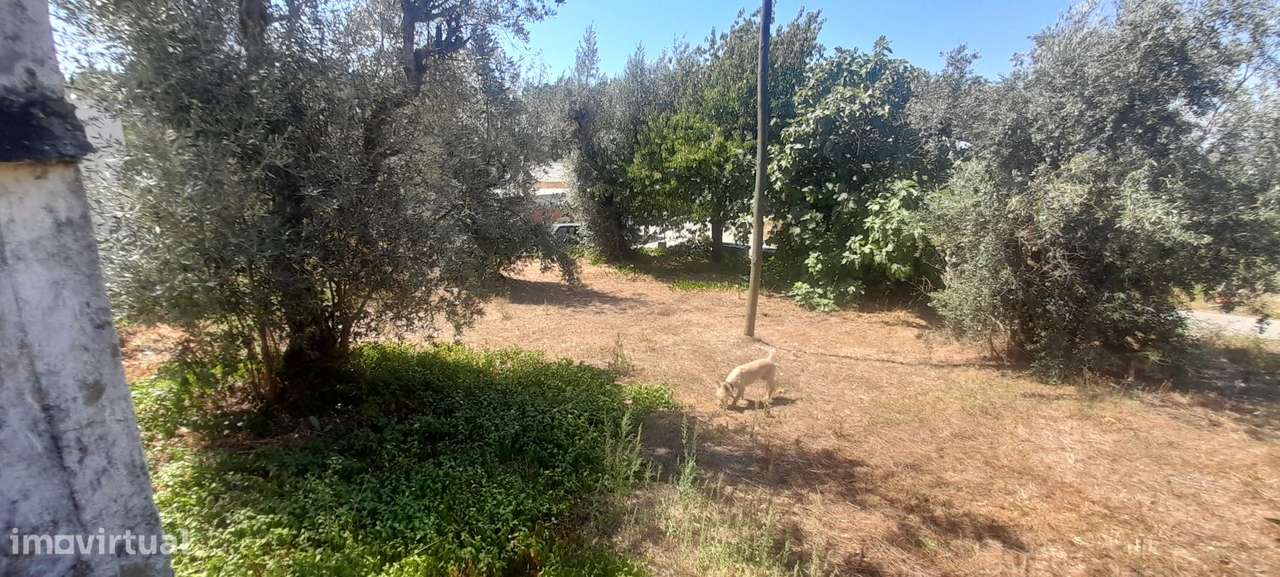 Casa geminada e ruína para restaurar, com terreno perto de Cardigos - Grande imagem: 4/26