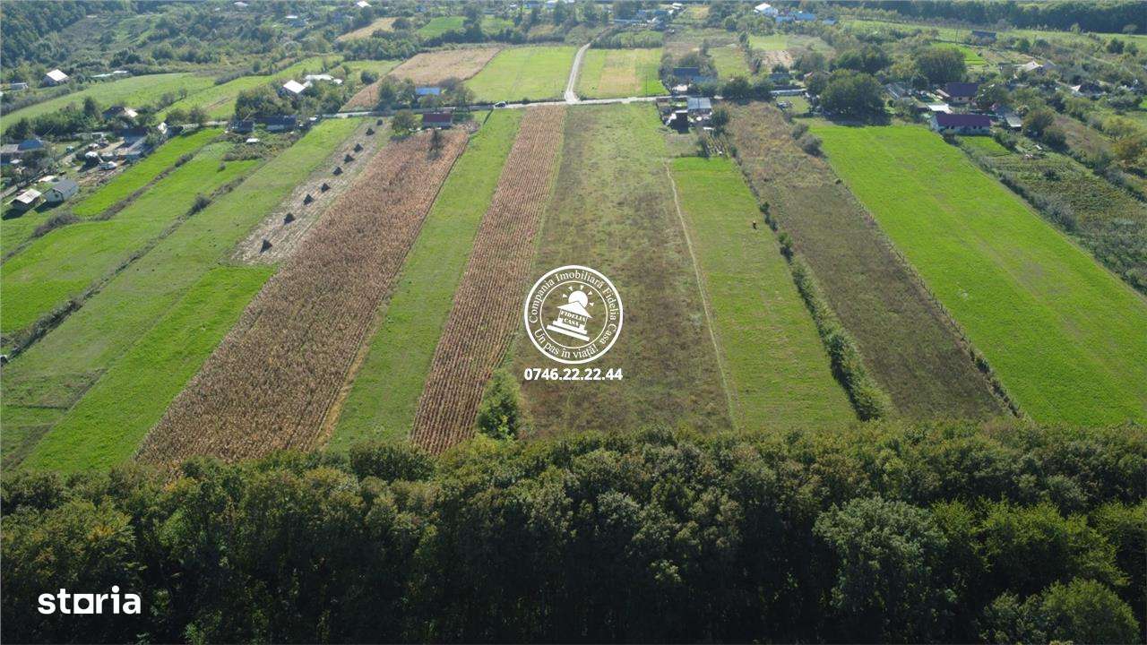 Teren intravilan intr-o zona superba de padure - Imagine principală: 5/5