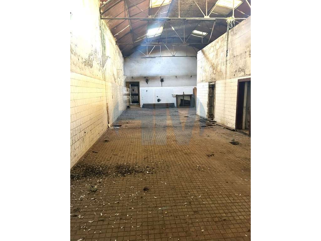 Prédio com propriedade total Centro de Milheiros (460 m²)-5