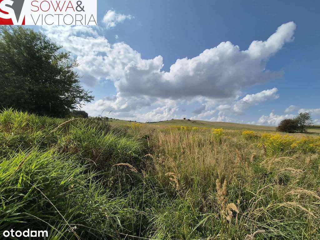 Działka w Strudze bez zabudowań w sąsiedztwie. - Pełny obrazek: 5/5