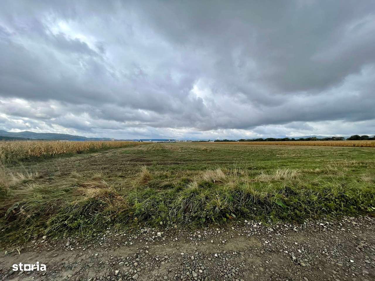 Teren industrial pretabil Hala P.U.Z aprobat! - Imagine principală: 4/6