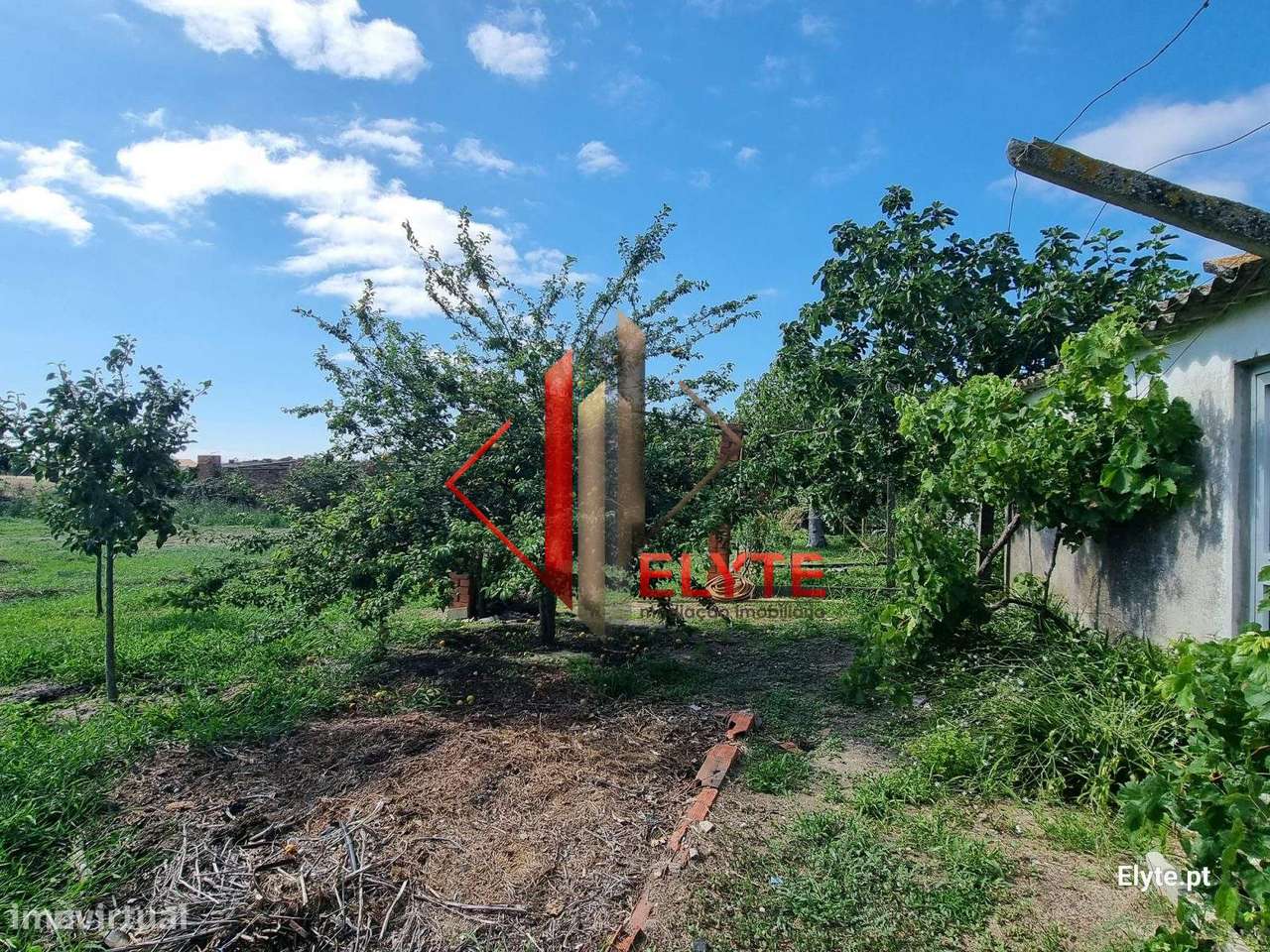 Quinta com 5 Assoalhadas em Benavente-14