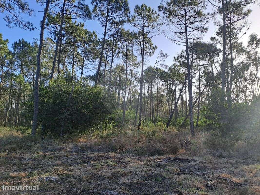 Terreno  para venda - Grande imagem: 4/5