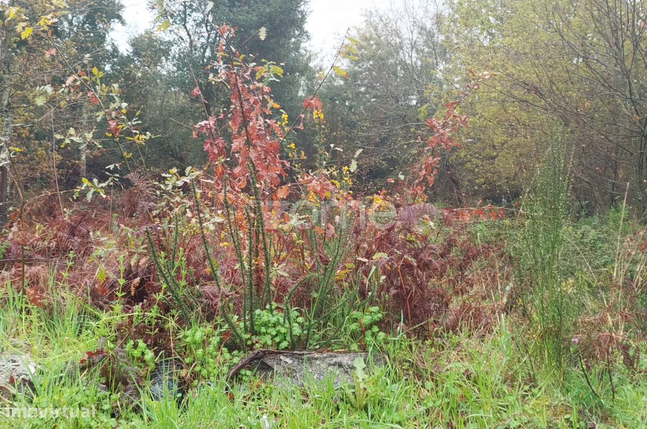 Terreno Urbanizável – O Local Perfeito para Construir a Sua Moradi... - Grande imagem: 1/44